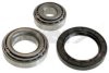 SPIDAN 72181 Wheel Bearing Kit
